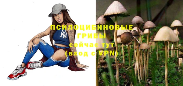 соль ск Беломорск