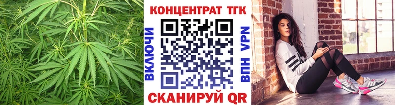 закладки  Велиж  ТГК концентрат 