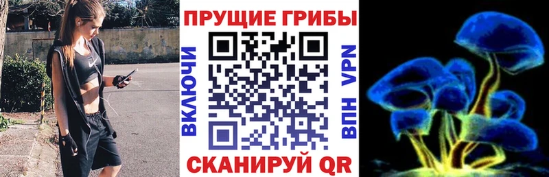 Галлюциногенные грибы Psilocybe  Велиж 